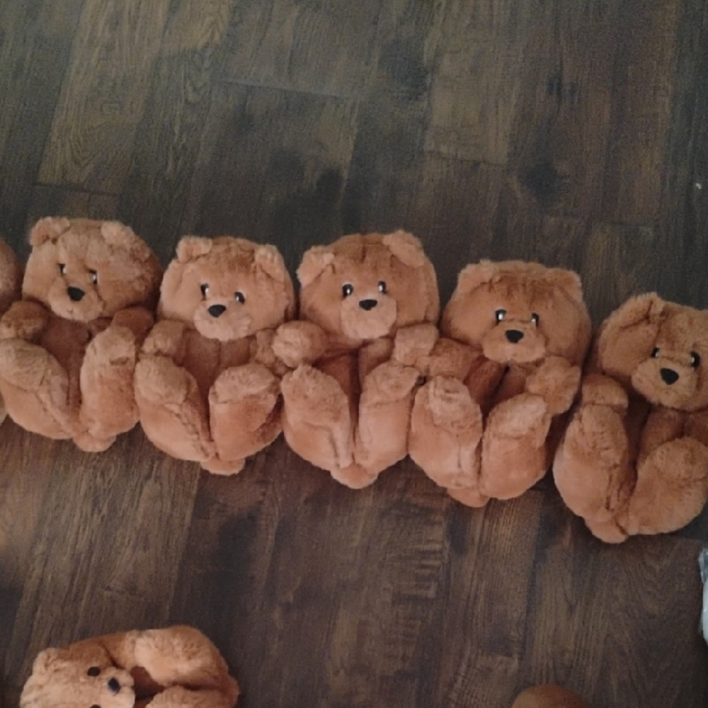 Plush Brown Teddy Bear Slippers Wm